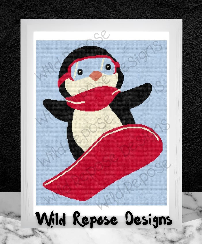 Penguin Snowboard Crochet Pattern 160x200