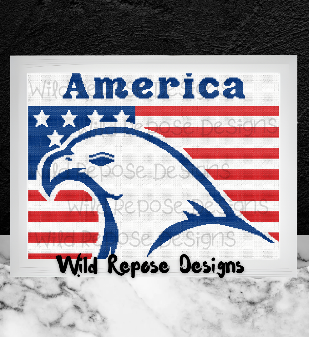 American Eagle and Flag Crochet Pattern 240X192