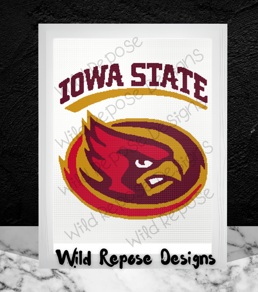 Iowa State Crochet Pattern 260x320